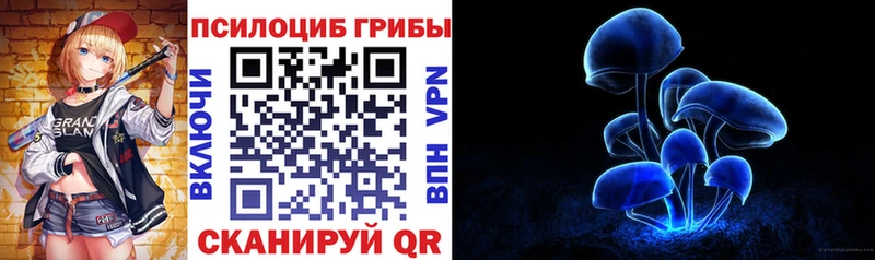 MEGA вход  Тавда  Галлюциногенные грибы Cubensis  сколько стоит 